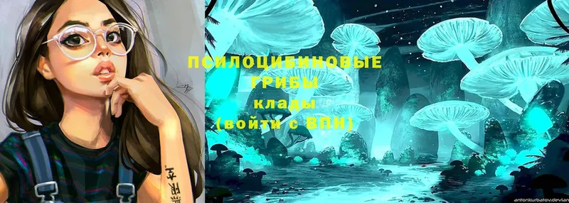 Псилоцибиновые грибы Magic Shrooms  Нытва 