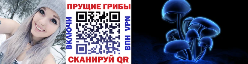 где можно купить наркотик  Нытва  гидра зеркало  Галлюциногенные грибы Psilocybine cubensis 